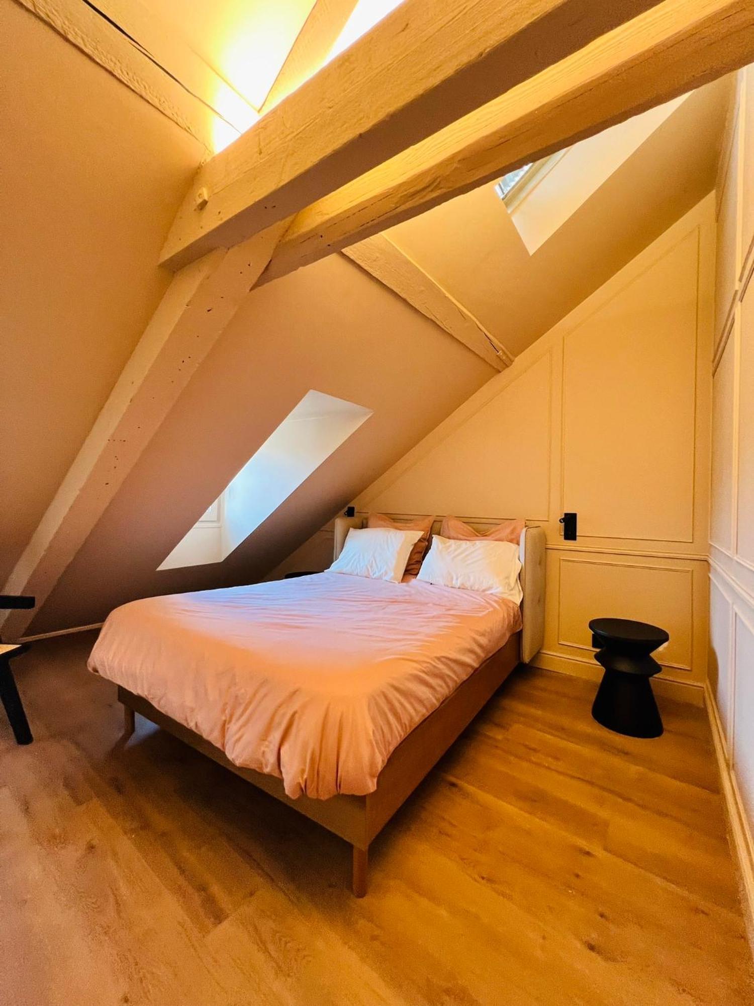 Chez Sandrine, Mon Appartement Elegant + Parking Strasbourg Exterior foto